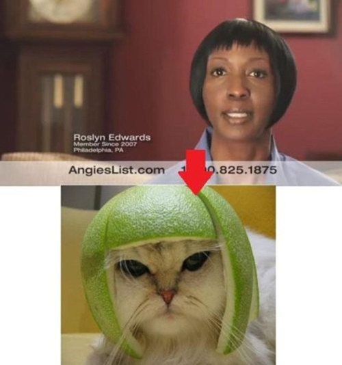 Who Wore it Better?