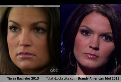 Tierra From 'The Bachelor' 2013 Totally Looks Like Brandy From 'American Idol' 2013