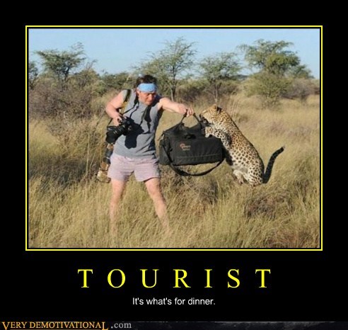 Delicious Nutritious Tourist