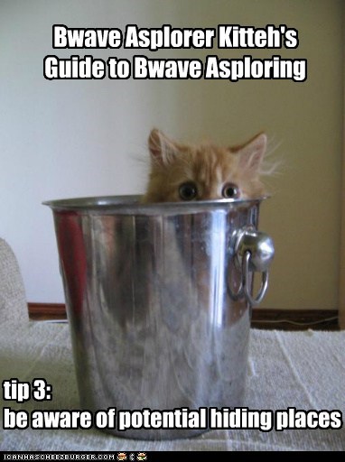 Bwave Asplorer Kitteh's  Guide to Bwave Asploring