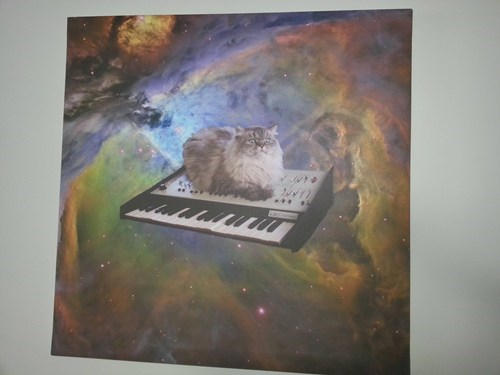 Keyboard Cat in Space!