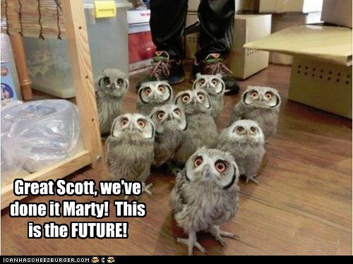 Owls Can't Comprehend the Magic of the Future