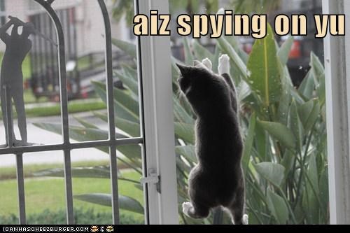 aiz spying on yu