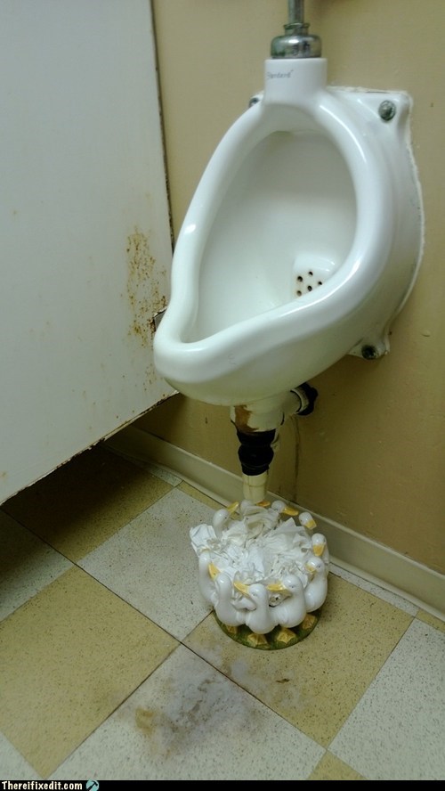 Leaky Toilet? No Problem!