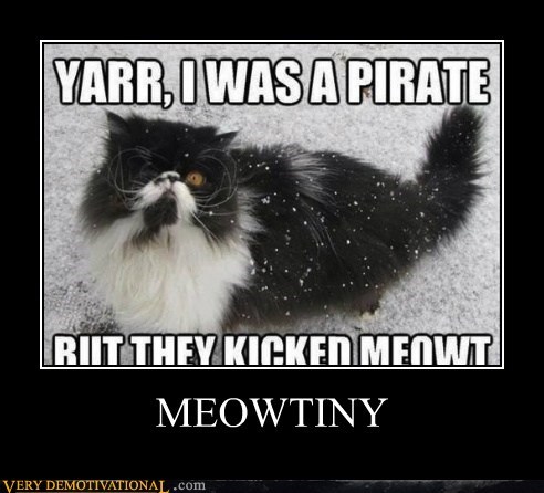 Adventures of Pirate Cats