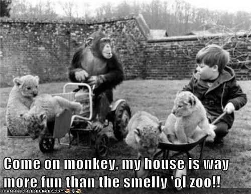 You Might Get Yelled at For Throwing Poop Though