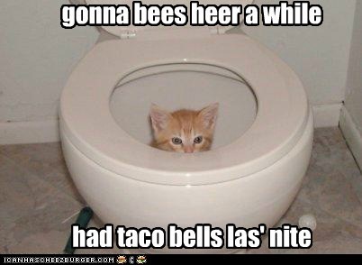 gonna bees heer a while       had taco bells las' nite