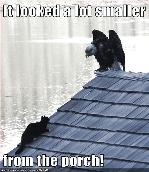 My Brave Just Become a Reconsiders...