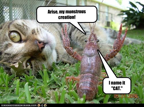 Sadly, the Inventor Was Soon Eaten, and We Never Learned Who was Responsible for the Creatures