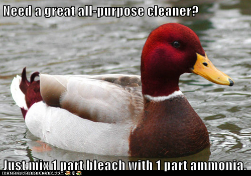 Need a great all-purpose cleaner?  Just mix 1 part bleach with 1 part ammonia.