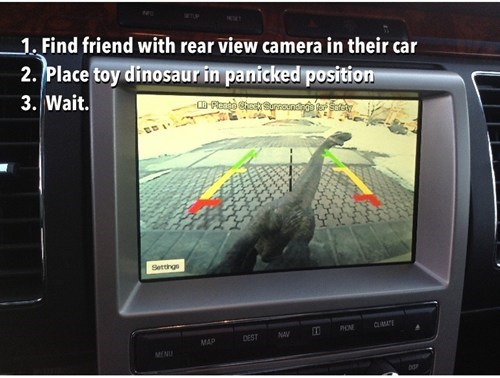 Rear-View Prank WIN