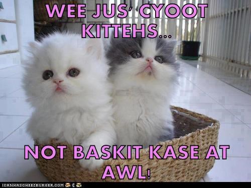 WEE JUS' CYOOT KITTEHS...  NOT BASKIT KASE AT AWL!
