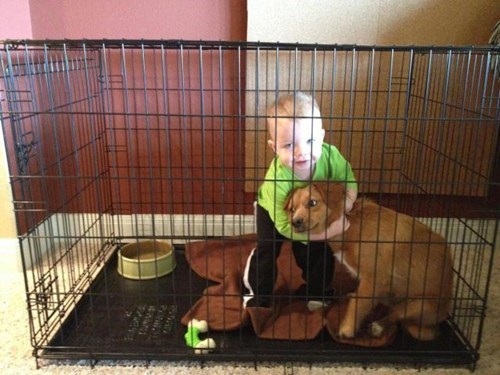 I Love a Good Old Cage Match