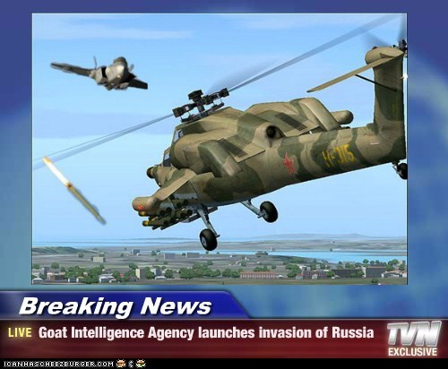 Breaking News - Goat Intelligence Agency launches invasion of Russia