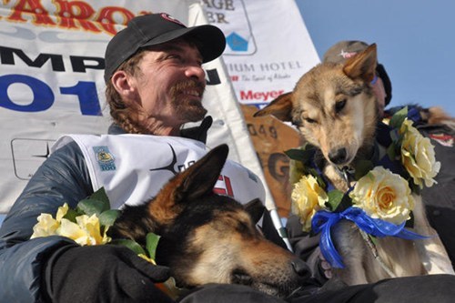 Meet Some of the Top Dogs of the Iditarod
