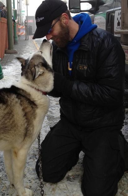Meet Some of the Top Dogs of the Iditarod