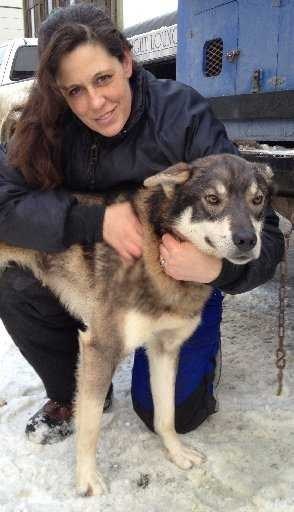 Meet Some of the Top Dogs of the Iditarod