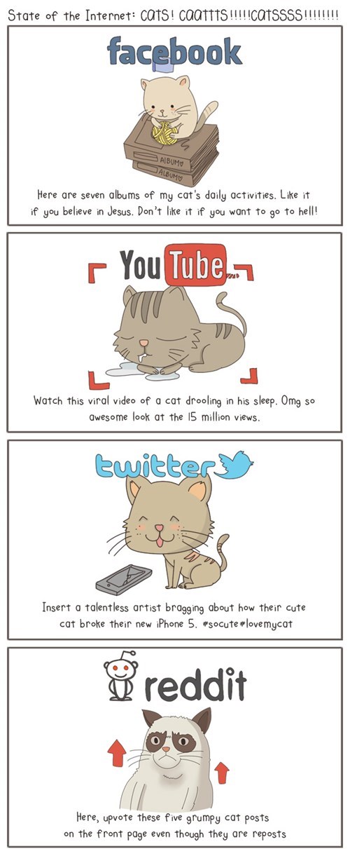 State of the Internet Explained with Cats