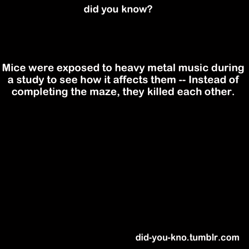 The More You Know...