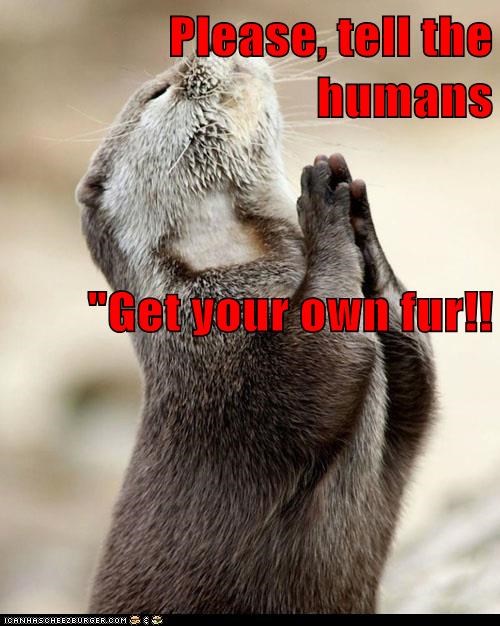 Please, tell the humans "Get your own fur!!