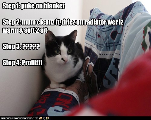 Step 1: puke on blanket   Step 2: mum cleanz it, driez on radiator wer iz warm & soft 2 sit   Step 3: ?????  Step 4: Profit!!!
