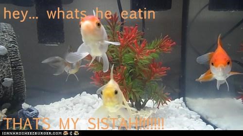 hey... whats he eatin  THATS MY SISTAH!!!!!!!