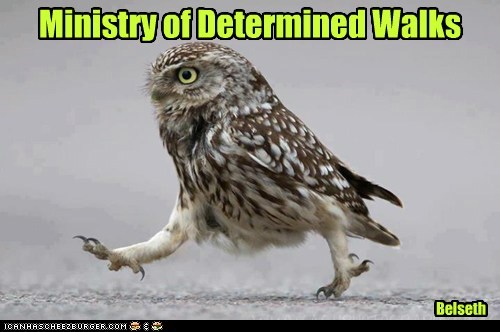 Ministry of Determined Walks