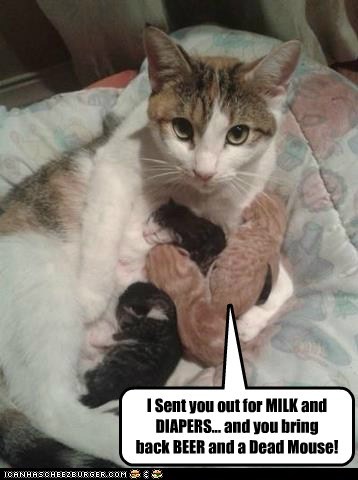 I Sent you out for MILK and DIAPERS... and you bring  back BEER and a Dead Mouse!