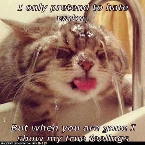 I only pretend to hate water,  But when you are gone I show my true feelings