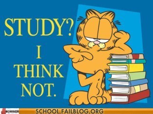 Garfield Don't Need to Study