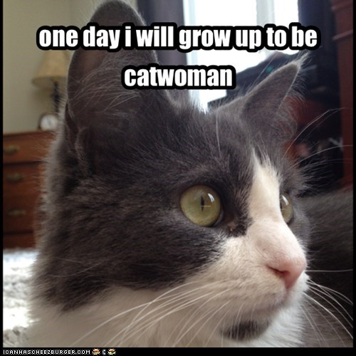 one day i will grow up to be catwoman