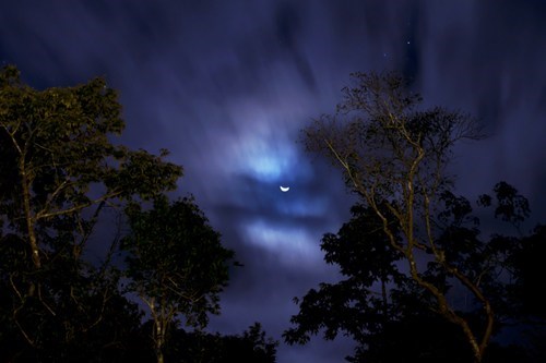 A Crescent Over the Jungle