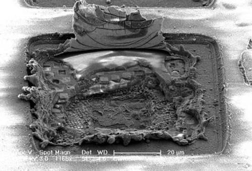 The Self Healing Microchip 