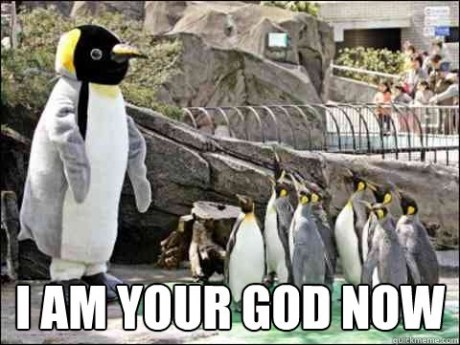 Flock to Me!