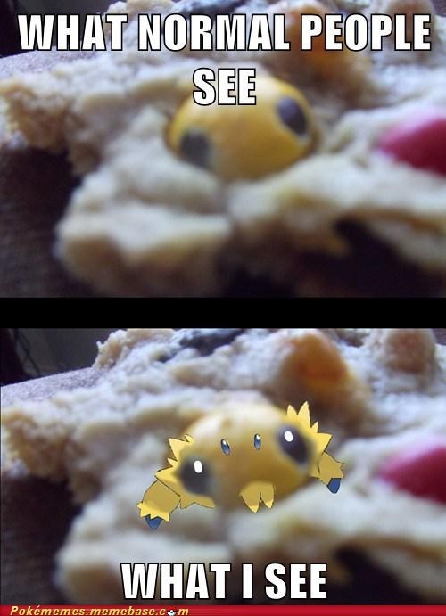 Do You Like Bugs in Your Cookies?