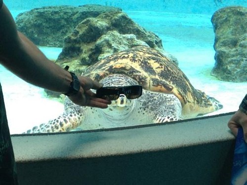 Too Cool For This Aquarium 