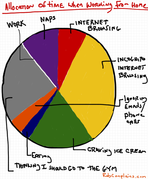 This is Why Working From Home is the Greatest Thing Ever