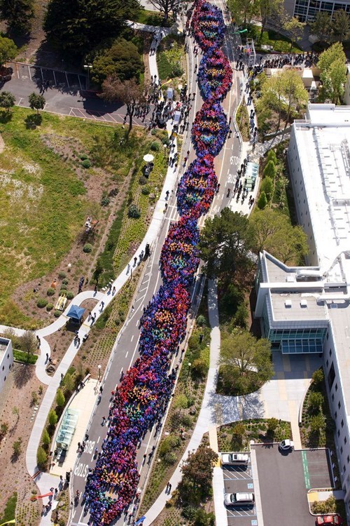 That's a Lot of DNA