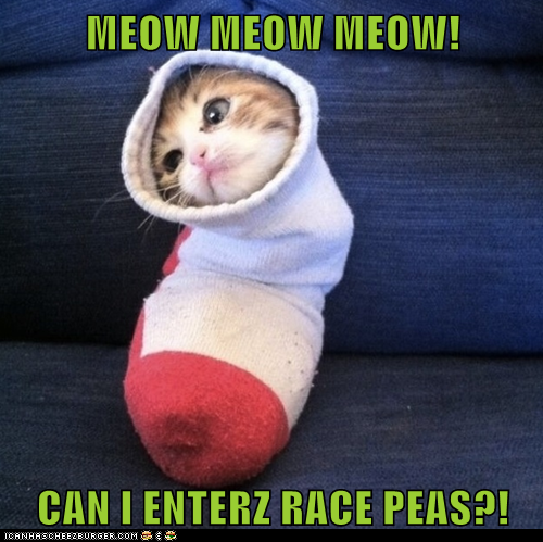MEOW MEOW MEOW!  CAN I ENTERZ RACE PEAS?!