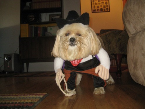 This Town Ain't Big Enough for the Two of Us