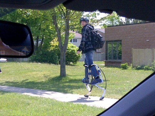 Race You to School!