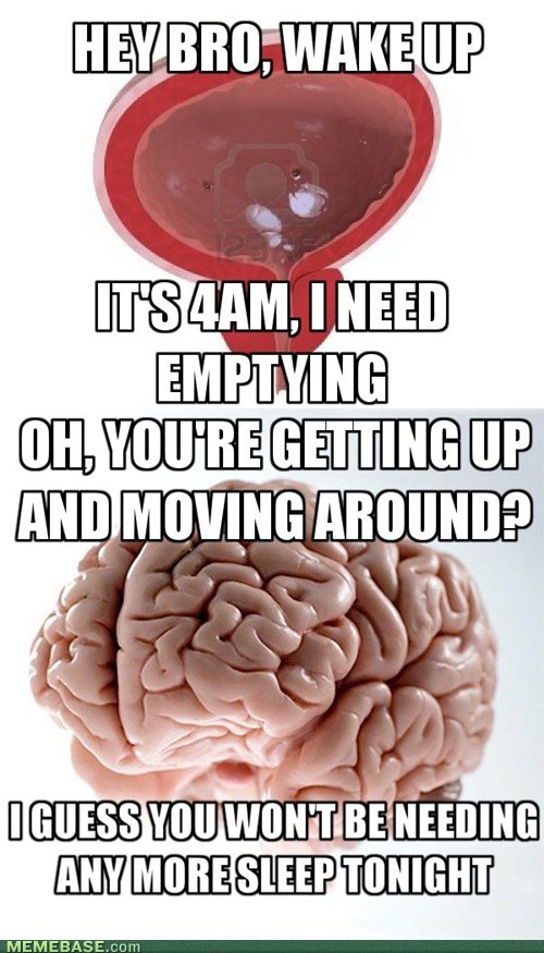Scumbag Bladder, Scumbag Brain