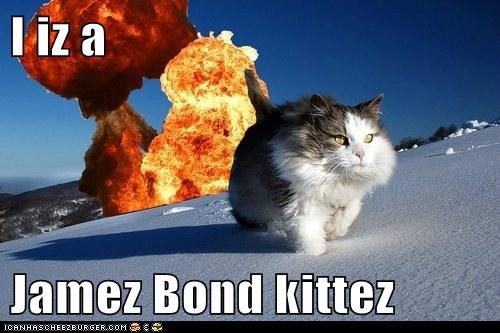 I iz a  Jamez Bond kittez