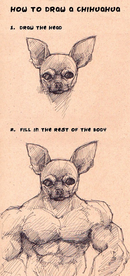 Draw a Perfect Chihuahua Everytime