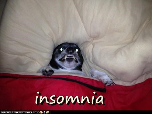 insomnia