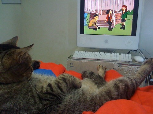 Dukie Fell Asleep Watching Daria Again