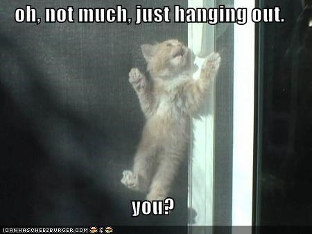 oh, not much, just hanging out.  you?