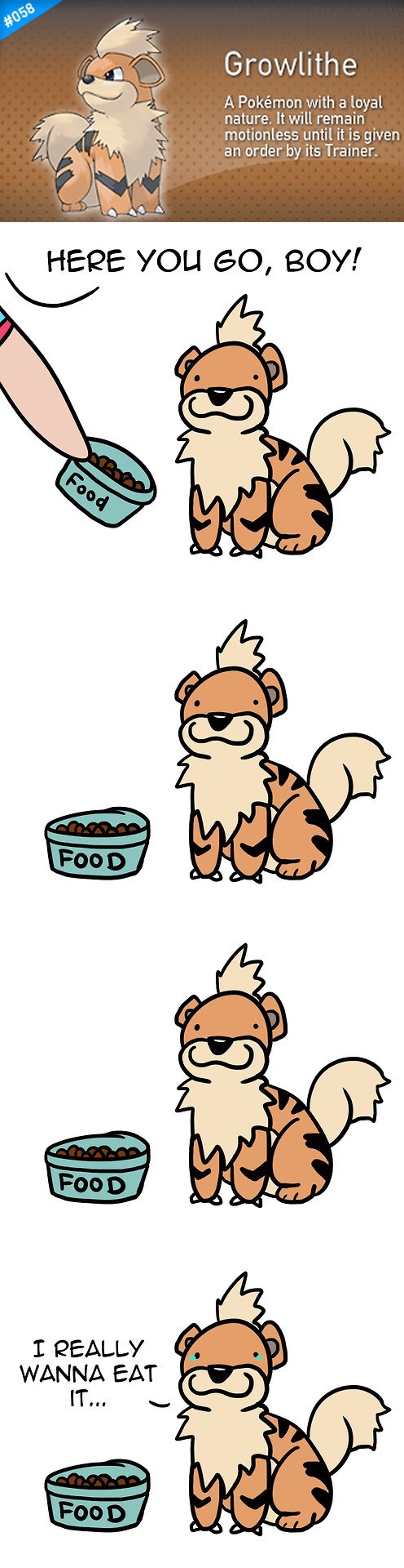 Remember Trainers, Pay Attention to the Pokédex