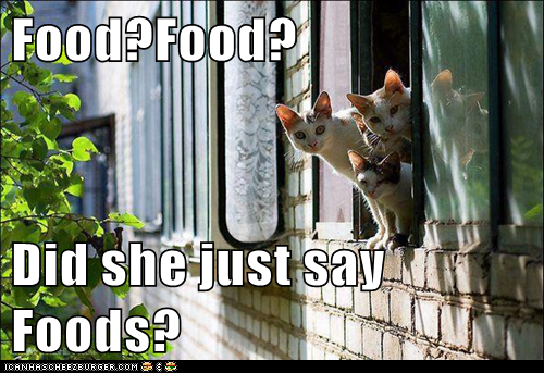 Food?Food?  Did she just say Foods?