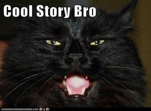 Cool Story Bro